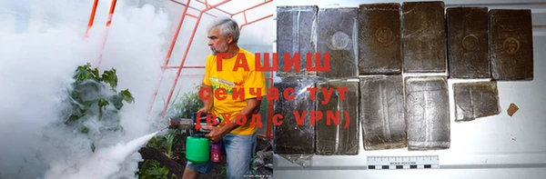 2c-b Бородино
