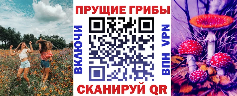 Галлюциногенные грибы Psilocybe  Коркино 